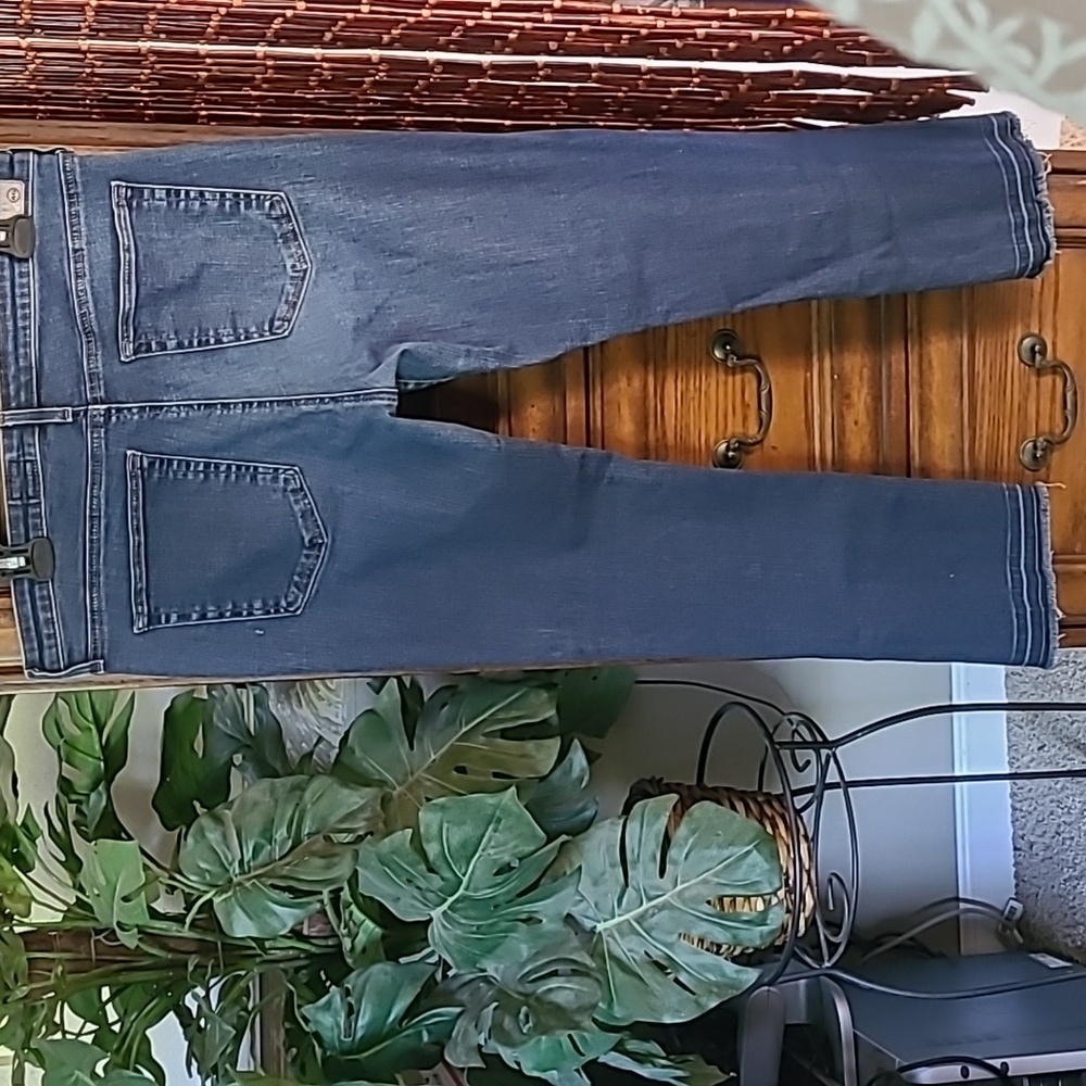 Adriano Goldschmied Jodi High rise Flare Crop Size 32